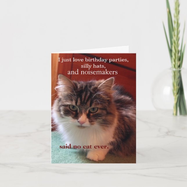 If Cats Could talk Birthday Card (Front)