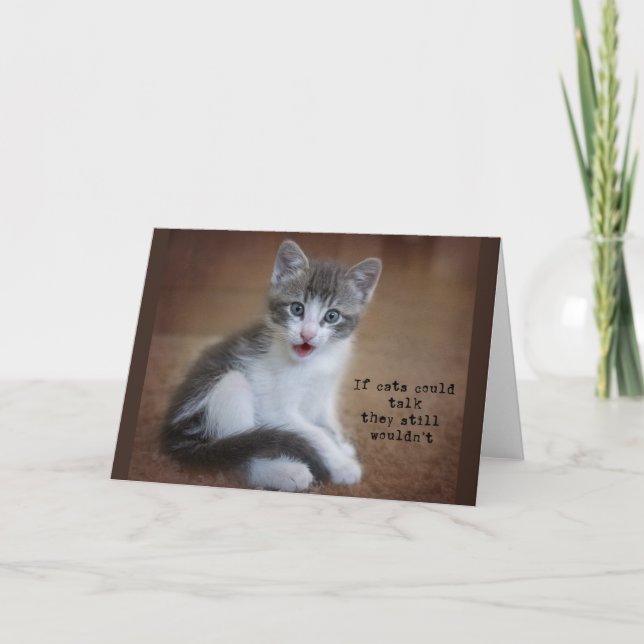 If Cats could talk, notecard (Front)