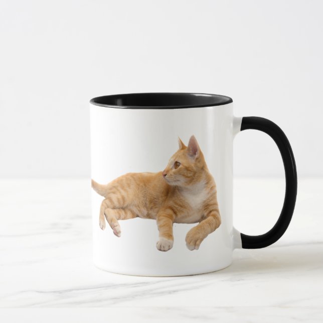 If cats could text you back... mug (Right)