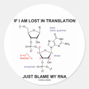 If I Am Lost In Translation Just Blame My RNA Classic Round Sticker