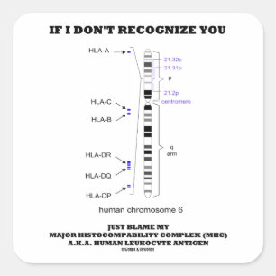 If I Don't Recognise You Just Blame My MHC Biology Square Sticker