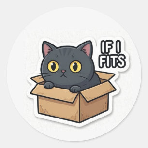 If I Fits I Sits Cat Sticker Funny Meme Cute Cat  