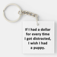 If I Had a Dollar