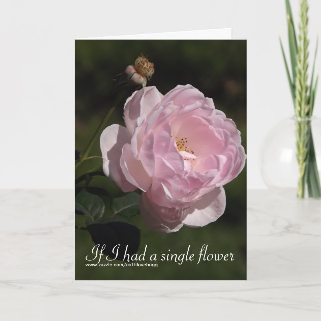 If I had a single flower, Valentine's Day Card (Front)