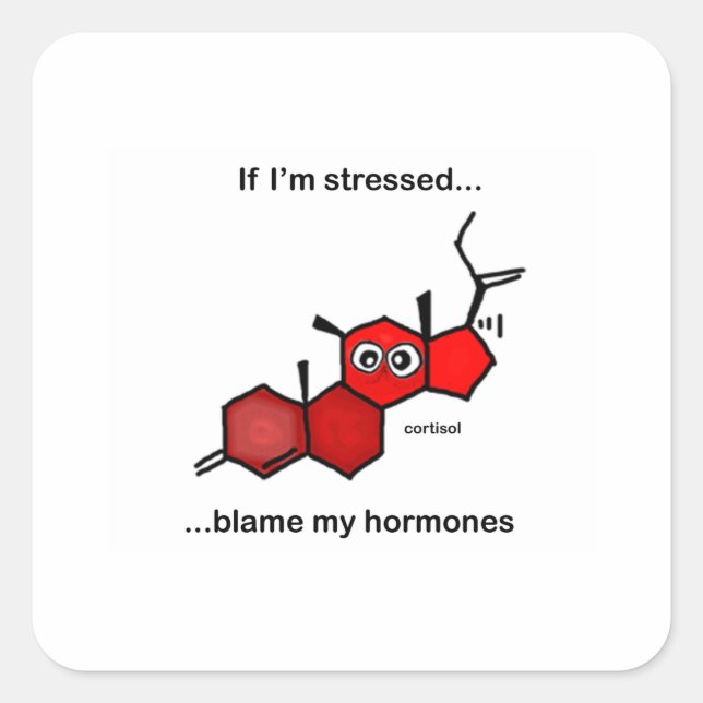 If I'm Stressed... Square Sticker (Front)