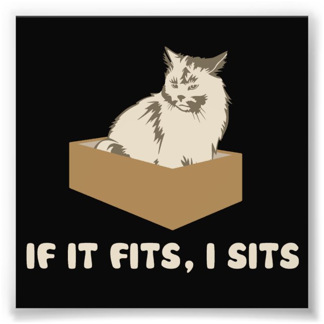 If It Fits, I Sits Cat Photo Print (Front)