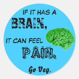 If It Has a Brain, It Can Feel Pain. Go Veg Classic Round Sticker
