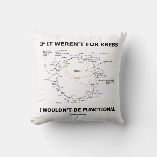 If It Weren't For Krebs I Wouldn't Be Functional Cushion (Front)