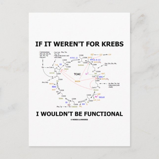 If It Weren't For Krebs I Wouldn't Be Functional Postcard (Front)