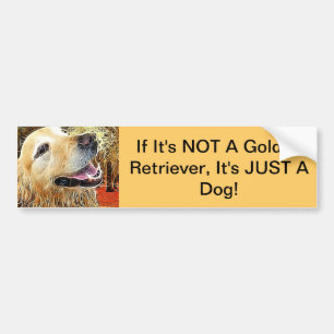 If Its NOT A Golden Retriever...... Bumper Sticker