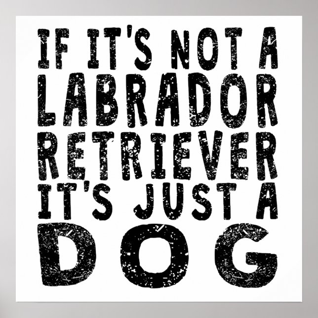 If It's Not A Labrador Retriever Poster (Front)