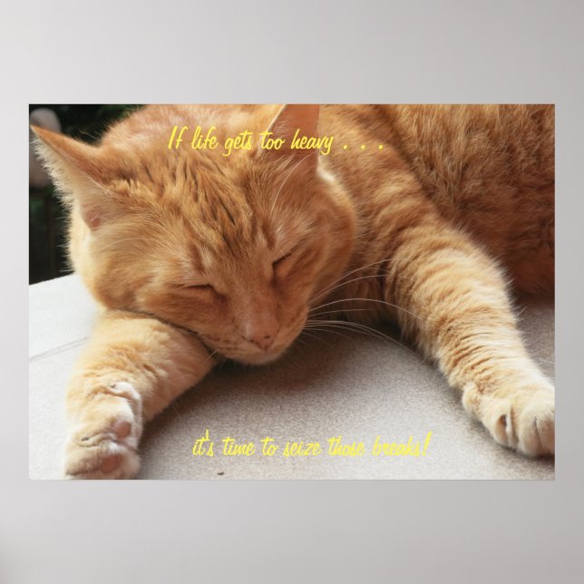 If life gets too heavy Cat Poster (Front)