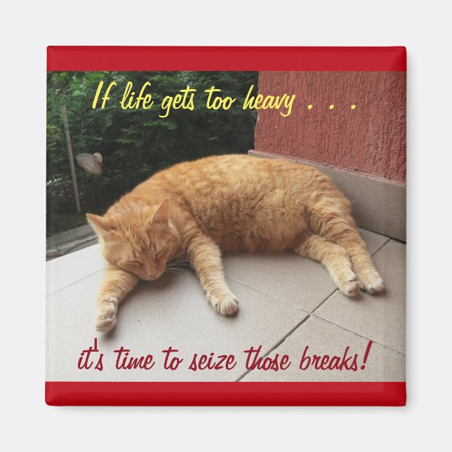 If life gets too heavy Inspirational Magnet (cat) (Front)