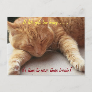 If life gets too heavy Inspirational Quote cat 2 Postcard