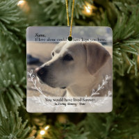 If Love Alone Could Have Saved You Pet Loss