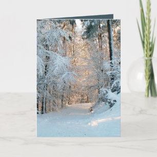 If Only In My Dreams, Photo Holiday Card