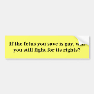 If the foetus you save is gay...? bumper sticker