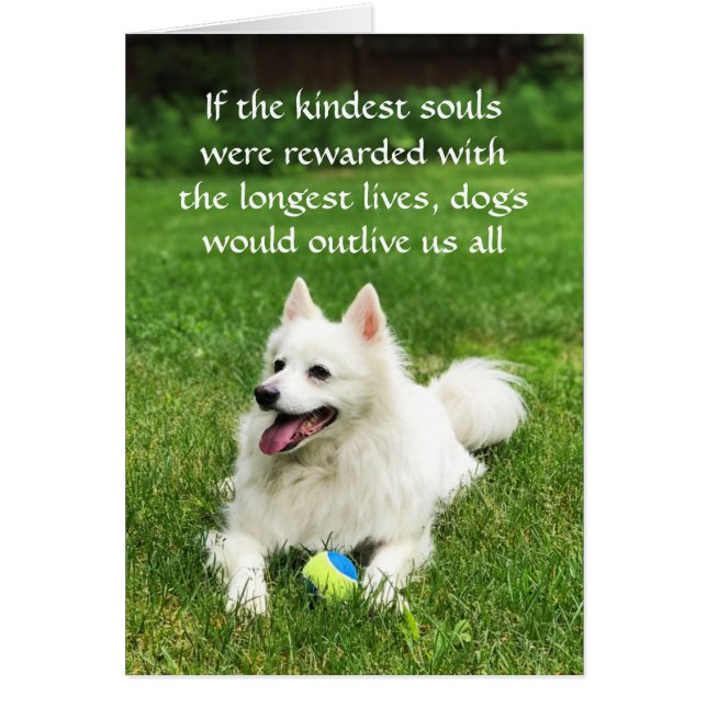 If the Kindest Souls - 5" x 7" Art Card (Front)