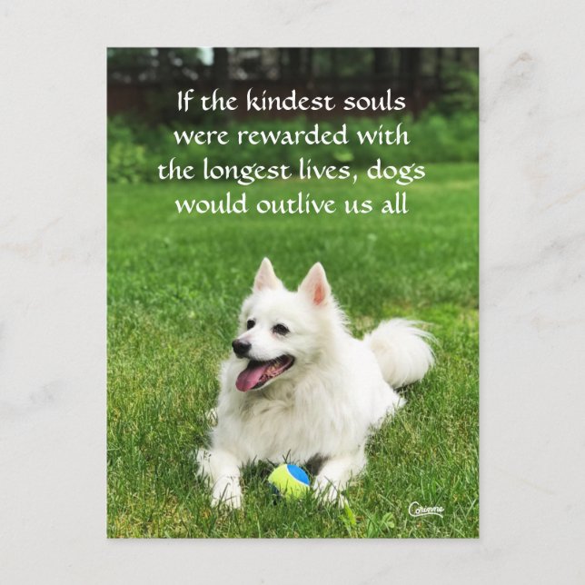 If the Kindest Souls - Postcard (Front)