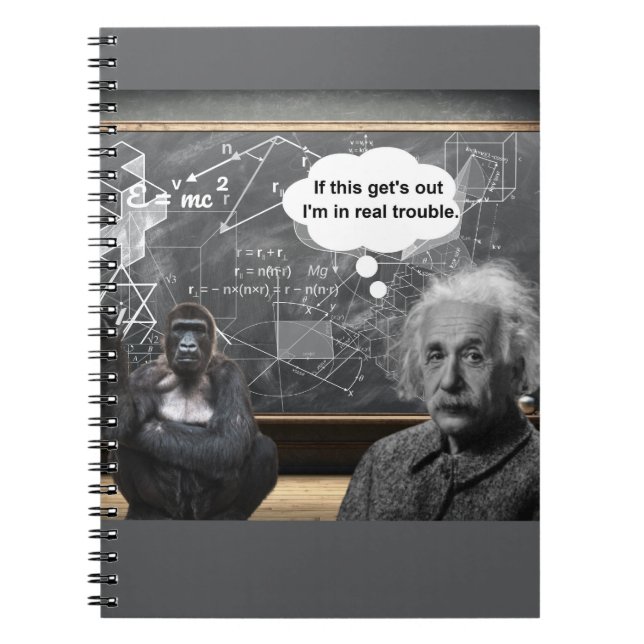 If this comes out..... notebook (Front)