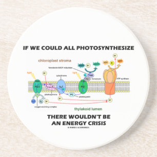 If We Could All Photosynthesize Wouldn't Be Energy Coaster