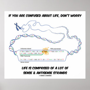 If You Are Confused About Life, Don't Worry Poster