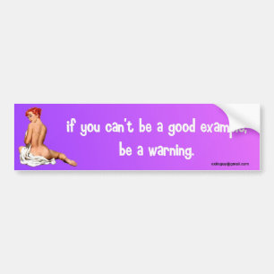 if you can't be a good example... bumper sticker