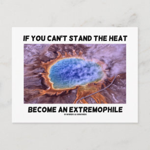 If You Can't Stand The Heat Become An Extremophile Postcard