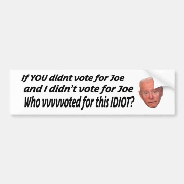 If you didn't vote for Joe and I didn't vote for J Bumper Sticker (Front)