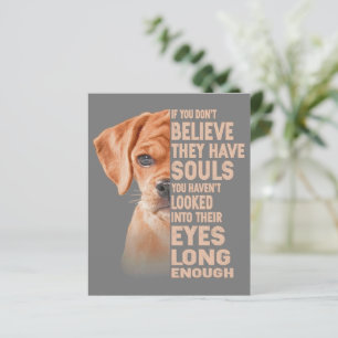 If you don't believe they have souls Puggle lover