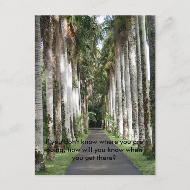 If you don't know where you are going... postcard (Front)