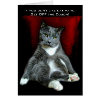 If you don't like cat hair.. Get OFF the Couch!