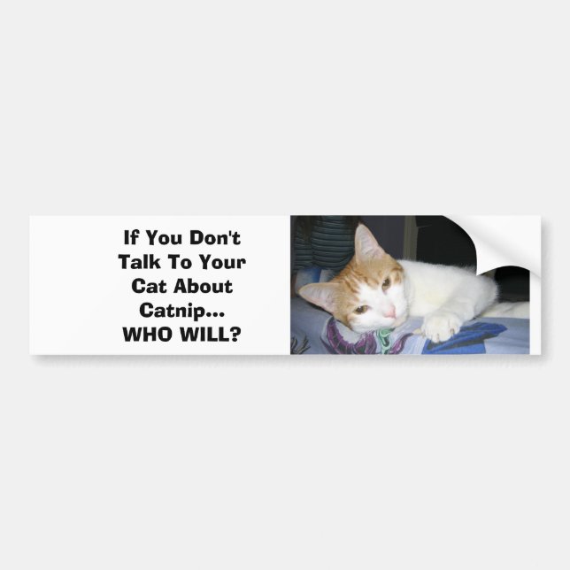 If You Don't Talk To Your Cat About Catnip Bumper Sticker (Front)