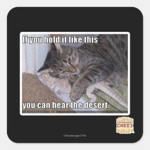 If you hold it like this square sticker