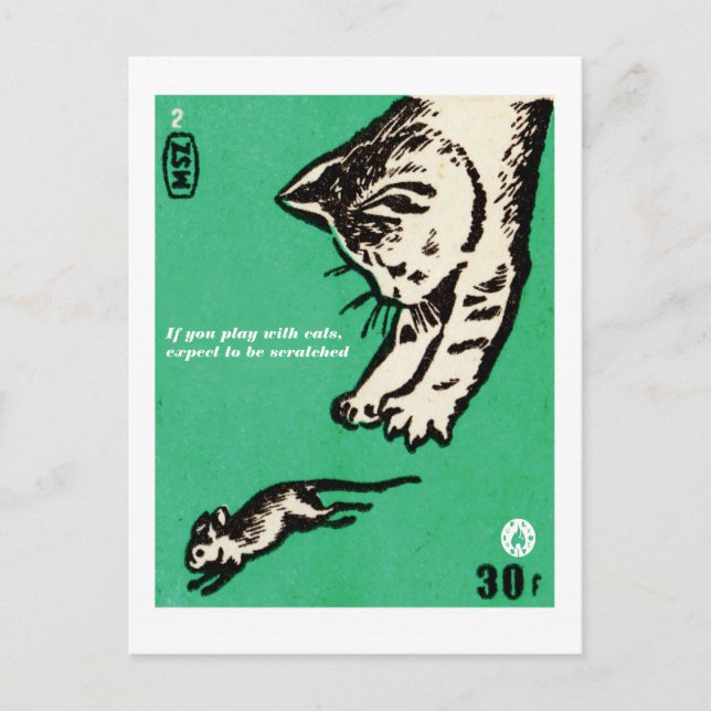 "If you play with cats, expect to be scratched" Postcard (Front)
