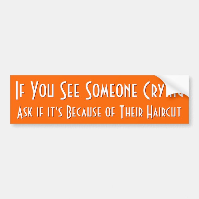 If You See Someone Crying | Funny Bumper Sticker (Front)