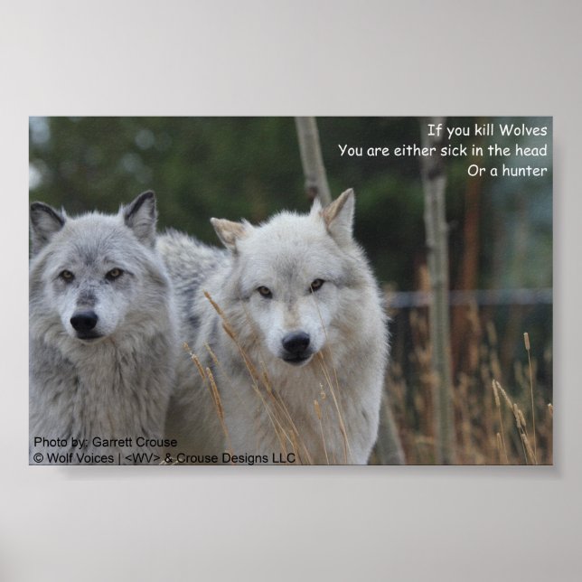 If Your Kill Wolves... Poster (Front)