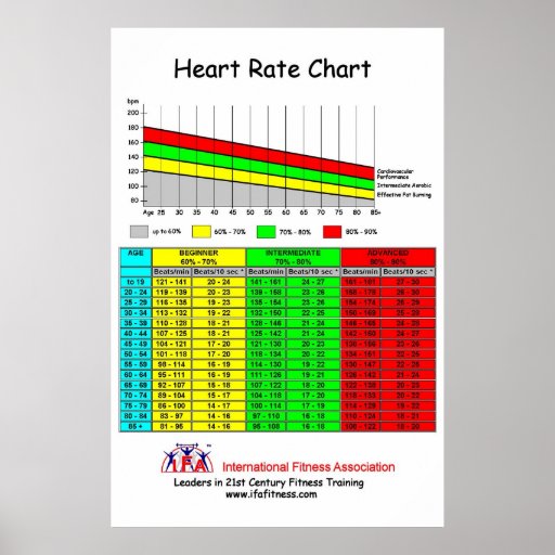 IFA Heart Rate Chart Posters | Zazzle