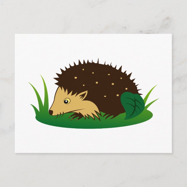 Igel hedgehog postcard (Front)