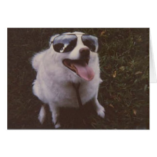 iggie by peacewillow