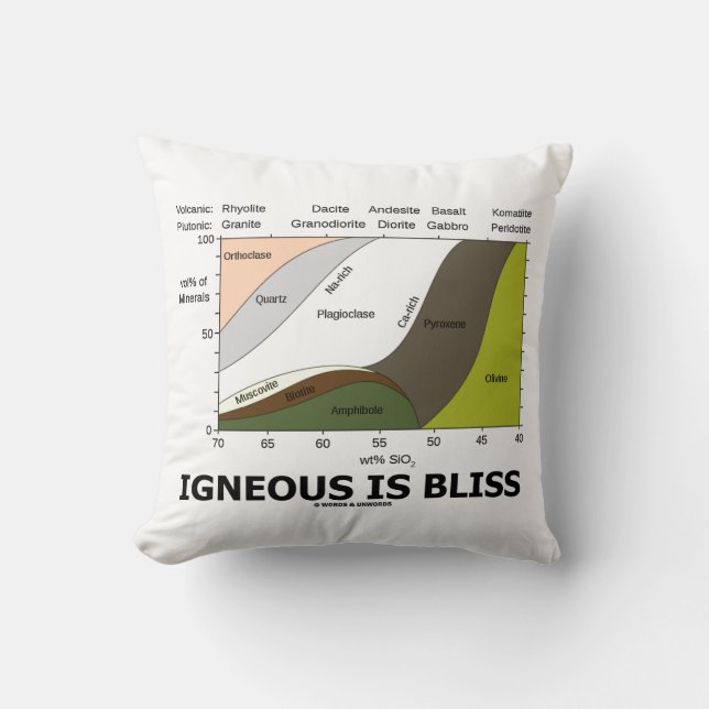 Igneous Is Bliss Silica Content Geology Humour Cushion (Front)