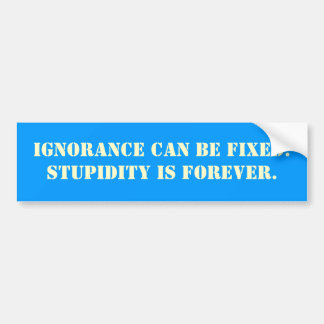 Ignorance can be fixed. Stupidity is forever. Bumper Sticker