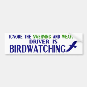 Ignore the Swerving Bumper Sticker