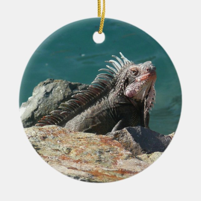 Iguana at St. Thomas Ceramic Ornament (Front)