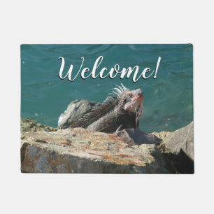 Iguana at St. Thomas Doormat