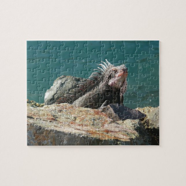 Iguana at St. Thomas Jigsaw Puzzle (Horizontal)