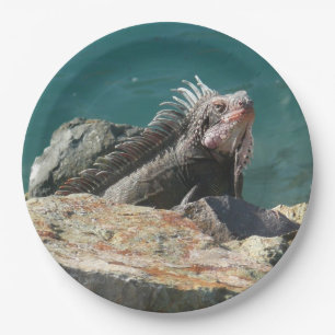 Iguana at St. Thomas Paper Plate