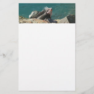 Iguana at St. Thomas Stationery