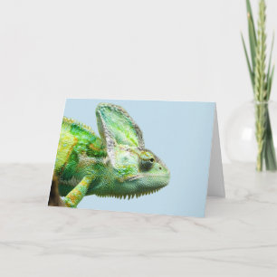 IGUANA BIRTHDAY CARDS