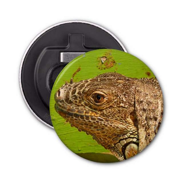 IGUANA BOTTLE OPENER (Front)